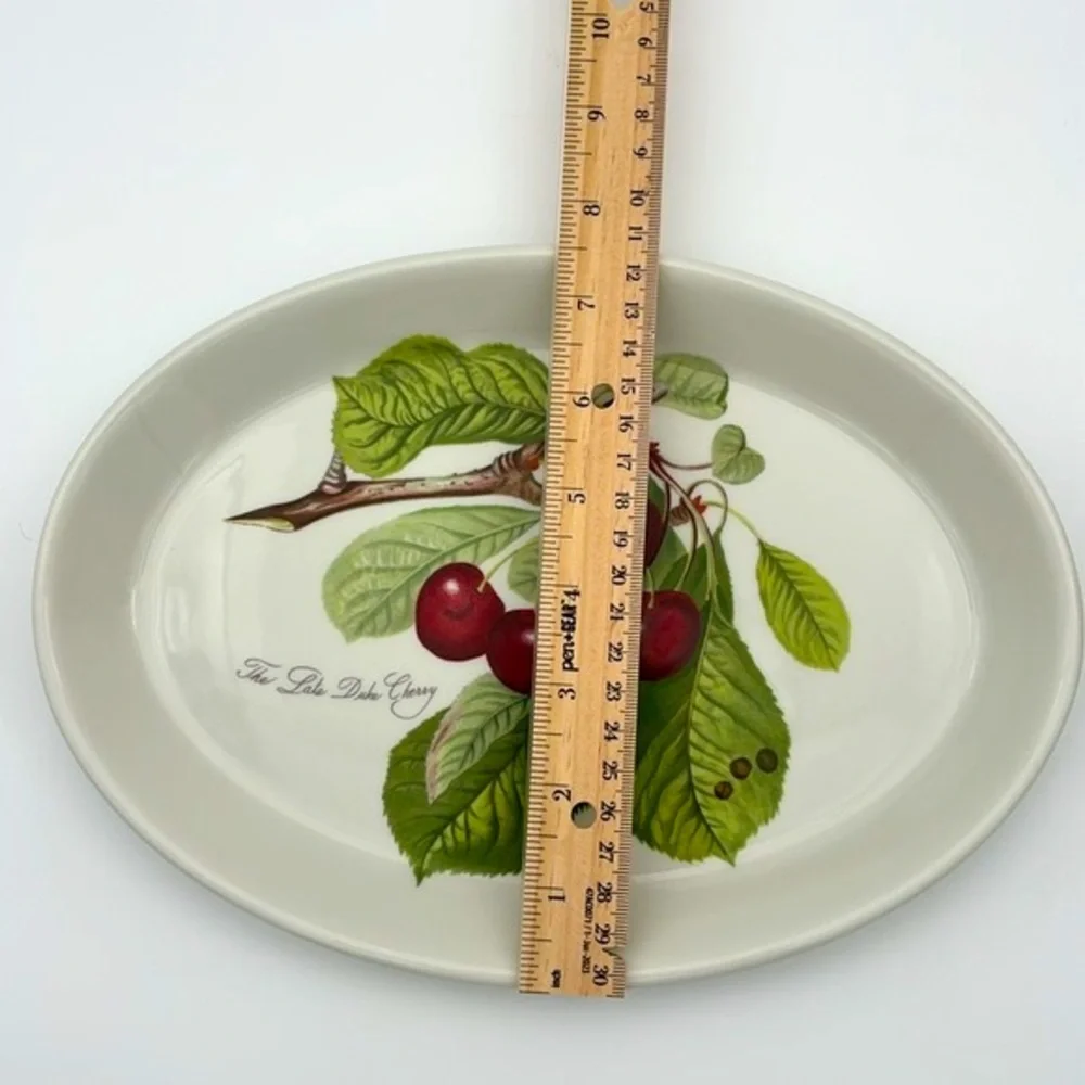 Vintage Pomona by Portmeirion 10 3/4 Inch Ceramic Oval Steak Platter